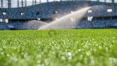 勇士合力送出40次助攻，7将得分破20，大胜黄蜂36分！